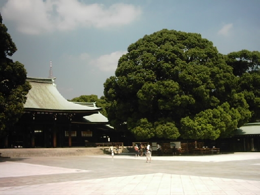 12_meiji-jingu_meiji-schrein.jpg