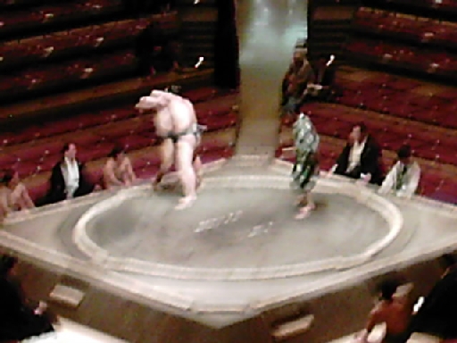 04_sumo.jpg
