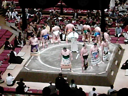 07_sumo.jpg