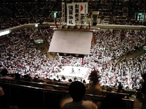 08_sumo.jpg