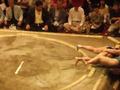 23_sumo6.jpg