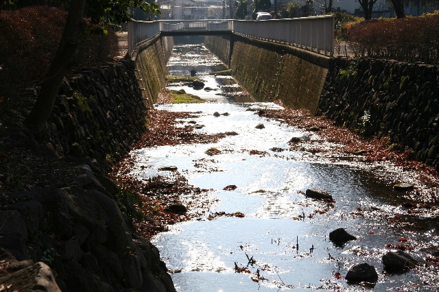 inokashira018.jpg