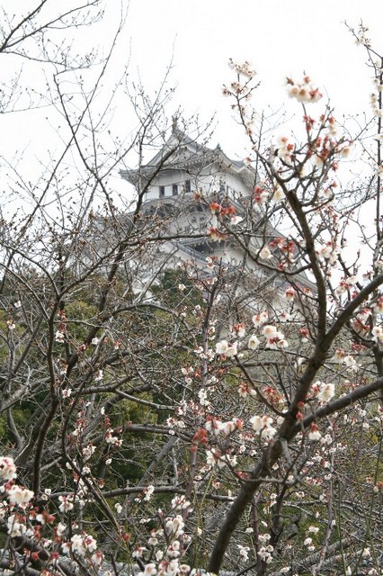 himeji_zau023.jpg