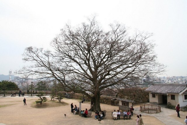 himeji_zau026.jpg