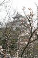 himeji_zau023.jpg
